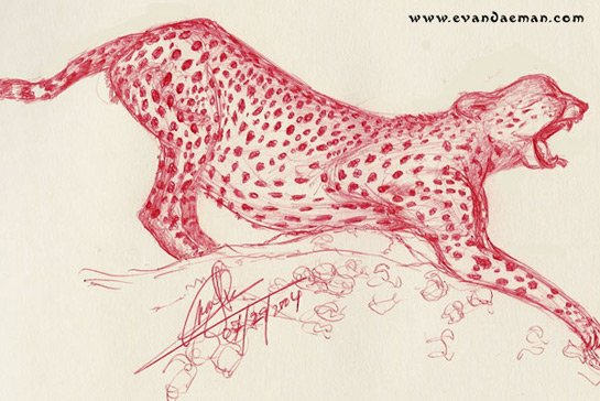 Cheetah Drawing