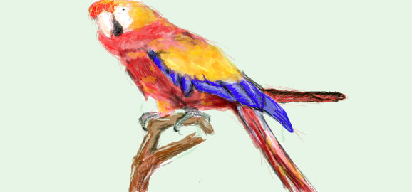 Parrot drawn in Facebook Graffiti