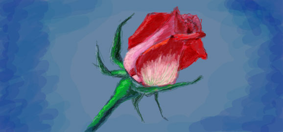 Red Rose Drawn in Facebook Graffiti