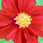 Flower drawn in Facebook.com Graffiti by Evan Islam