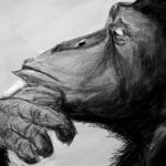 Thinking Monkey drawn in Facebook Graffiti Application by Evan Islam