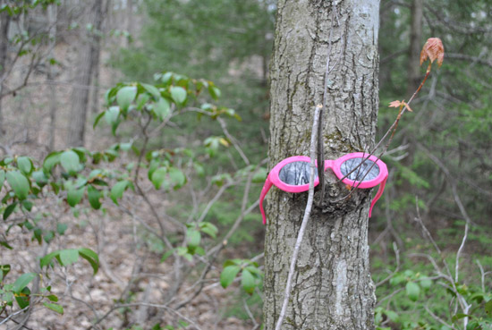 Pink Sunglass at Southford Falls