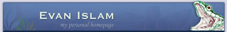 Home Page of Evan Islam