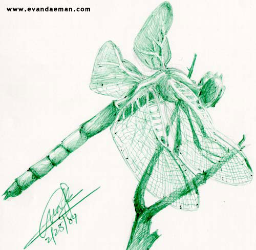 Dragon Fly in Green Ink