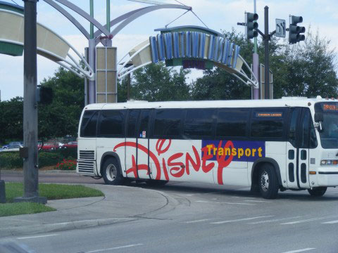 Disney Bus