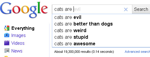 Google Cats