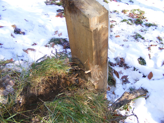 Bullet through wood