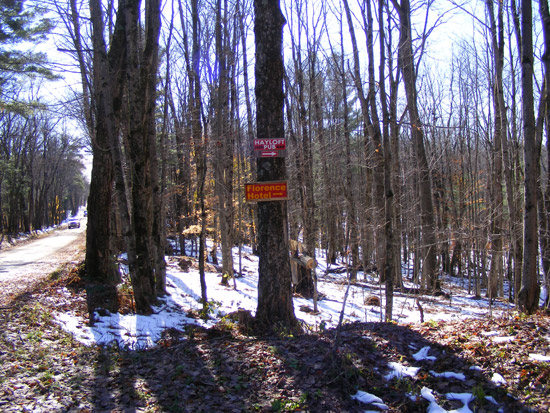 Hotel sign on tree